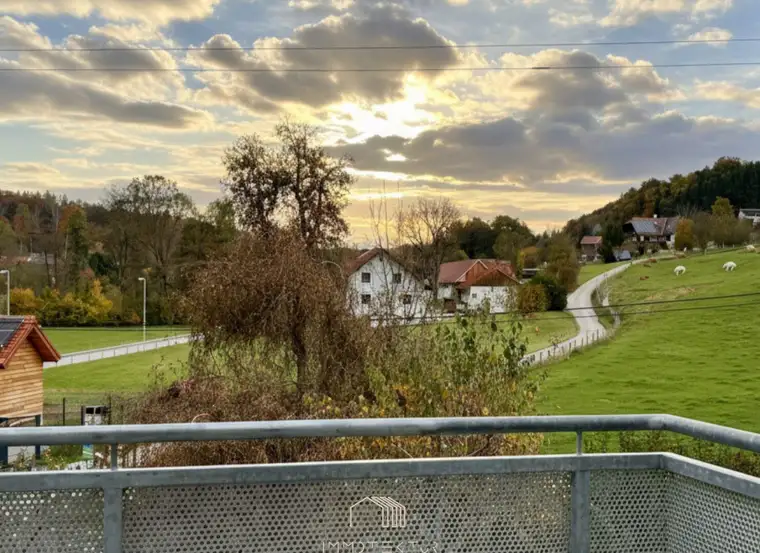 NATURVERBUNDEN: Sonnige 4-Zimmer-Wohnung mit 4 Balkonen und Parkplatz