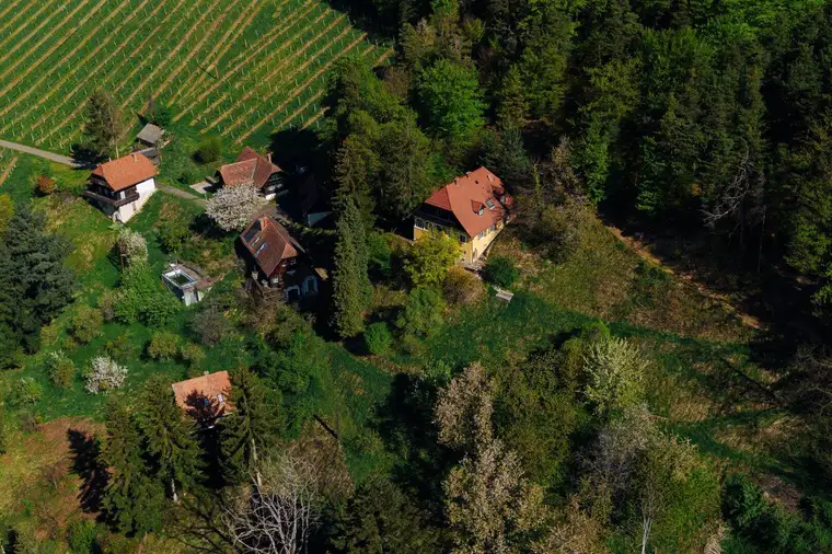 Außergewöhnliche Liegenschaft im Weinparadies – Ihre Visionen werden Realität!