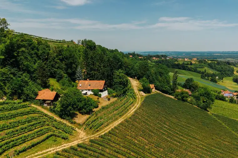 Alleinlage, Weinberge, Weitblick und Idylle – Ihr Rückzugsort am Graßnitzberg!