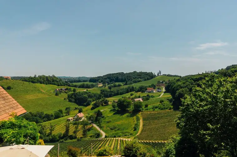 Umgeben von Weinbergen mit traumhaftem Weitblick - Alleinlage in der Südsteiermark!