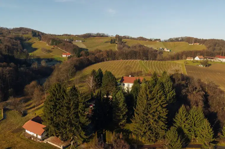 Villa in idyllischer Weinlandschaft - Wohnen mit eigenem Helikopterlandeplatz!