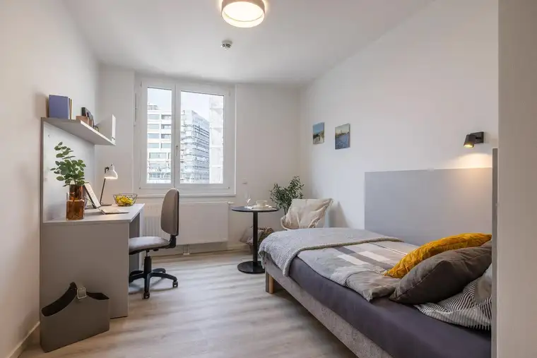Lumis Living Single Apartment - All in Miete