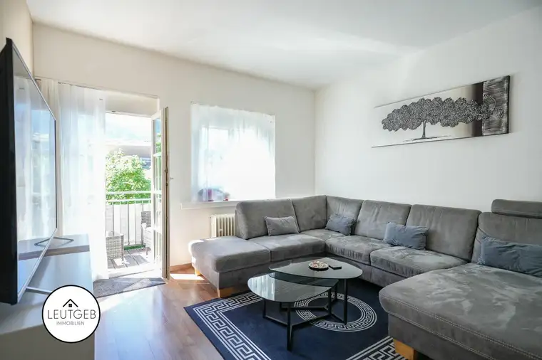 Reinhard Leutgeb, Leutgeb Immobilien