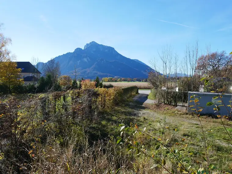 Top-Lage Anif am Hellbrunner Park