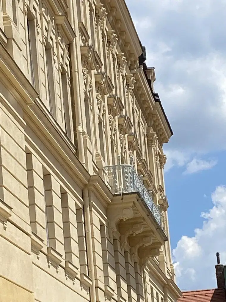 GROSSE ALTBAUWOHNUNG MIT FLÜGELTÜREN
