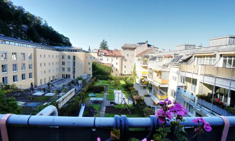 MMag. Elisabeth Promegger, Promegger Immobilien