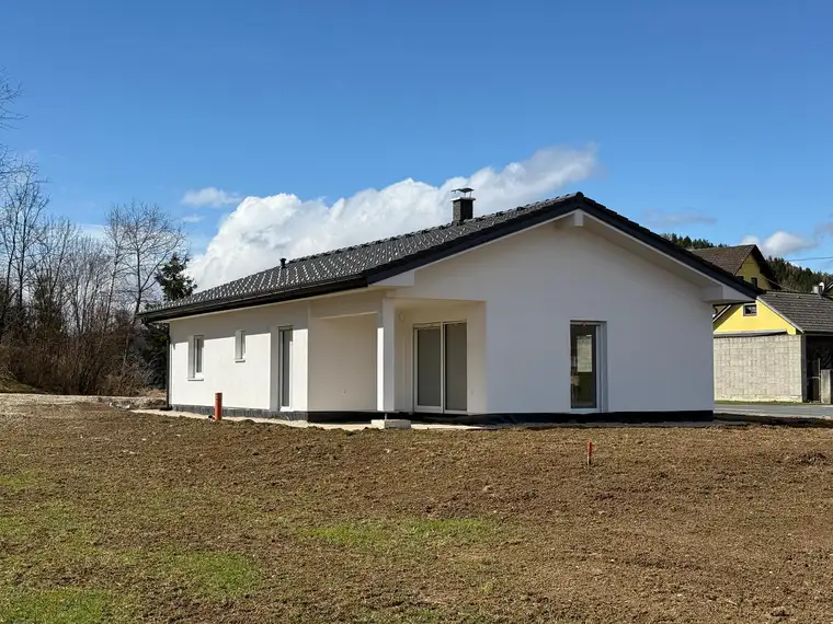 Rok Usar, Natura 10 GmbH