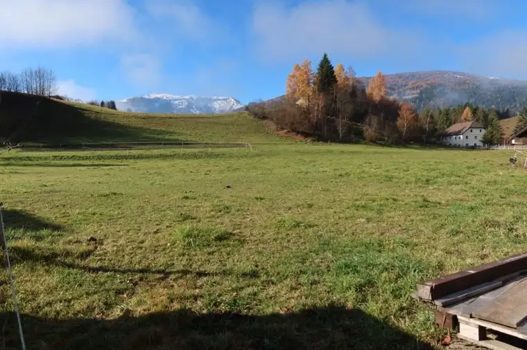 Baugrundstück in Mariapfarr/Bruckdorf
