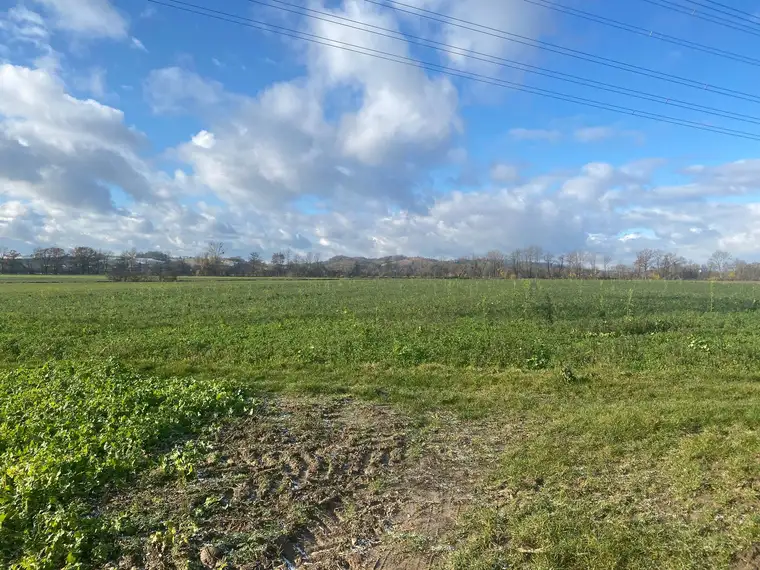 ASTEN: 33.750M2 LANDWIRTSCHAFTLICHER NUTZGRUND ZU VERKAUFEN
