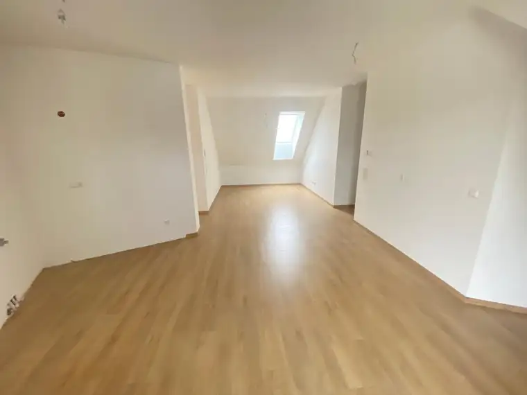 RÜSTORF/SCHWANENSTADT - HELLE KLIMATISIERTE DACHGESCHOSSWOHNUNG - GROSSER BALKON