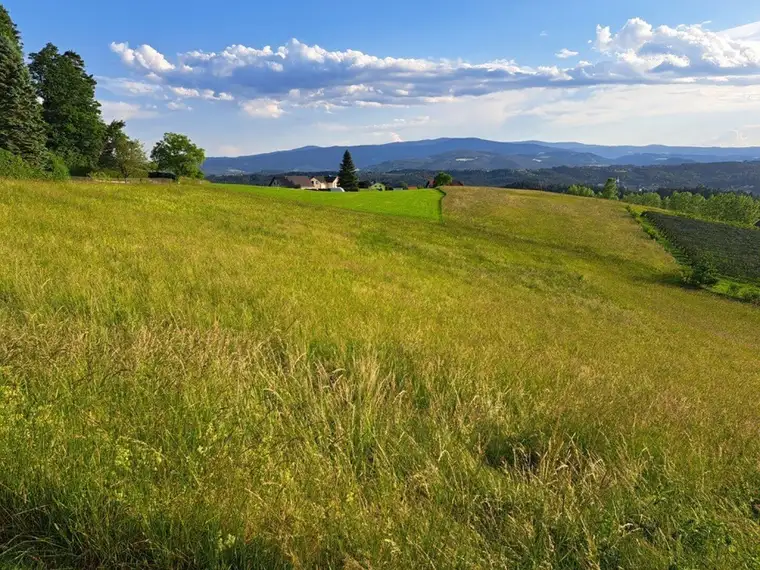 Pferdeliebhaber aufgepasst: Top-Landwirtschaft in herrlicher Lage Nähe Graz