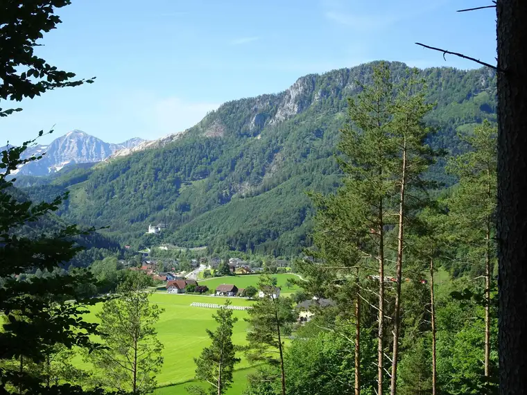 170 ha Bergmischwaldrevier mit Eigenjagd in Klaus a.d.P., OÖ; 13 ha Landwirtschaft (Grünland)