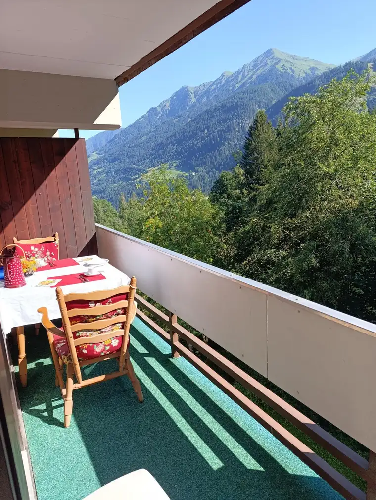 attraktive Wohnung in guter Lage mit sehr schöner Aussicht in Bad Gastein -provisionsfrei