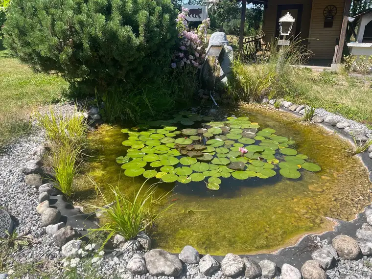 Wohnung mit alleiniger Nutzungsmöglichkeit einer ca. 600 m² großen Gartenfläche!