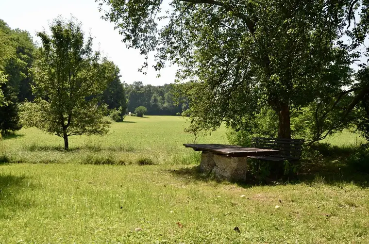 Projektgrundstück mit über 4.000 m2: Natur, Freizeit &amp; Neubauoptionen