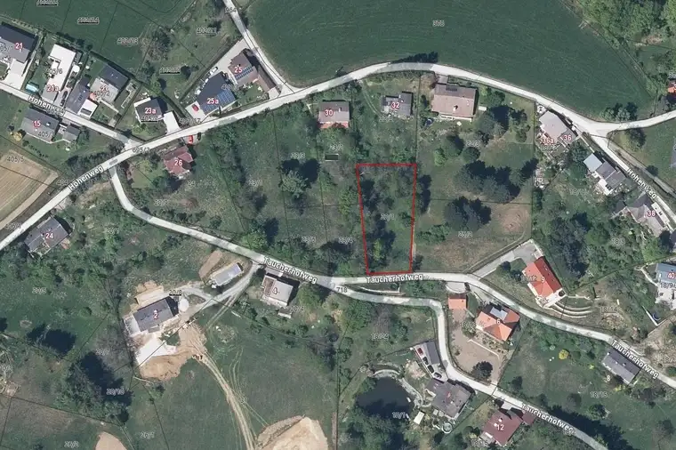 Wohnen im Grünen in Hanglage - Baugrundstück Weinitzen (Provisionsfrei)