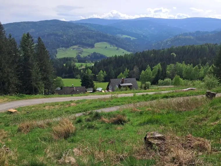 Lust auf Alm? 3 Hebalm Grundstücke mit 4 bewilligten Ferienhäuser (Provisionsfrei)