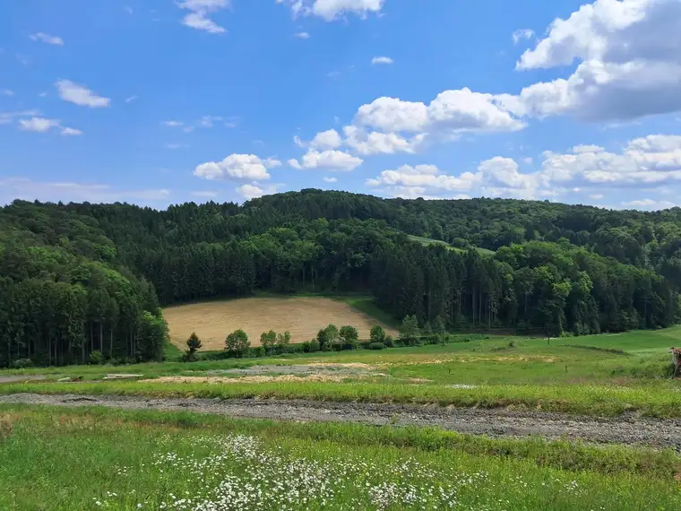 Die eigene Ranch auf 9,2ha Grund und Wald verwirklichen (Provisionsfrei)