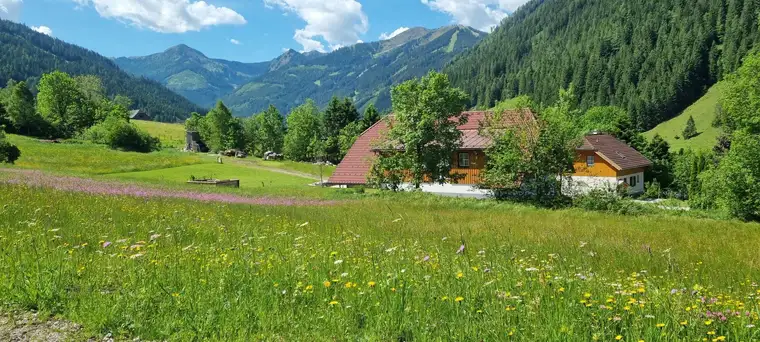 Traumhaftes Baugrundstück in Donnersbachwald Nähe Riesneralm (Provisionsfrei)