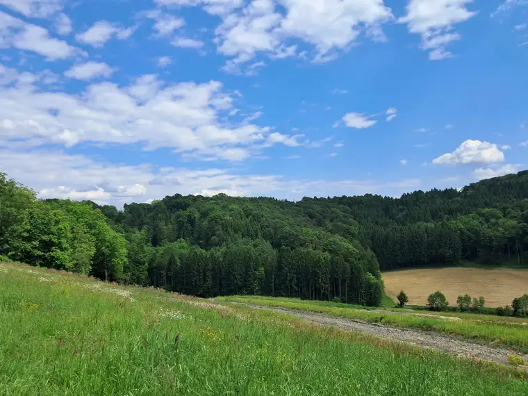 Die eigene Ranch auf 9,2ha Grund und Wald verwirklichen (Provisionsfrei)