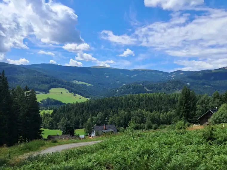 Lust auf Alm? 3 Hebalm Grundstücke mit 4 bewilligten Ferienhäuser (Provisionsfrei)