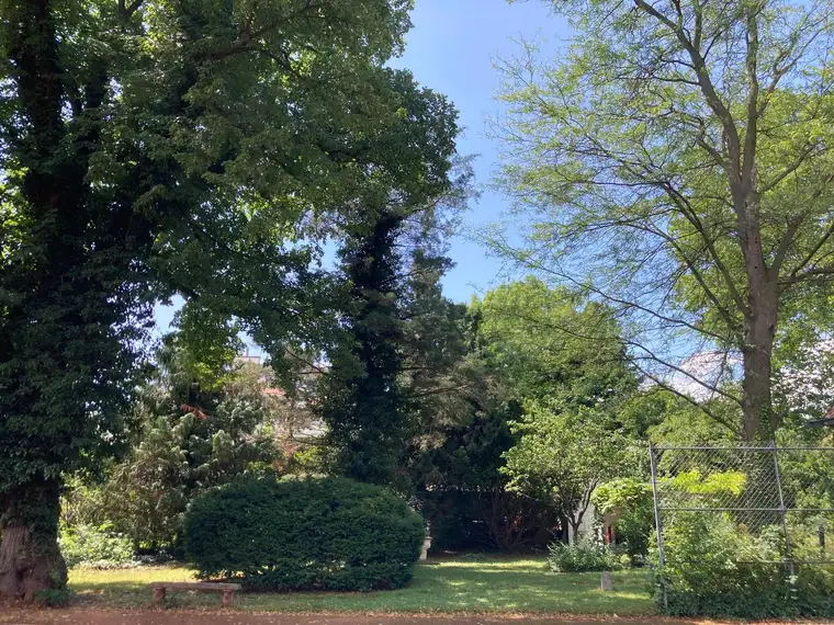Parkähnliches Baugrundstück in historischer Villenlage Baden bei Wien (Provisionsfrei)