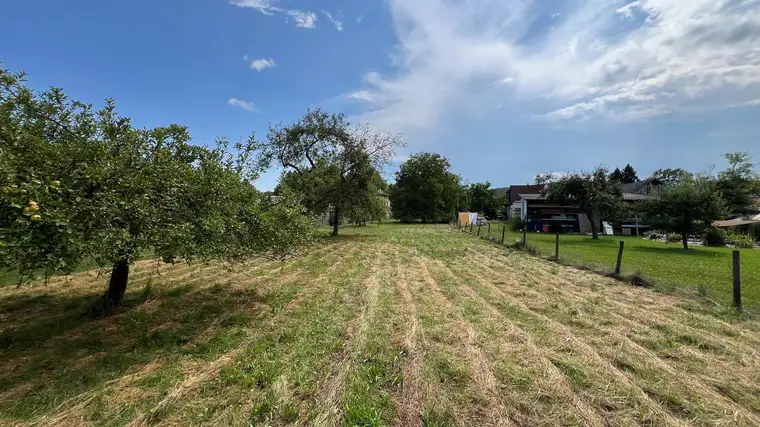 Baugrund in Altenmarkt bei Fürstenfeld - ruhig, eben, sonnig, kein Bauzwang, € 56, -/ m² (Provisionsfrei)