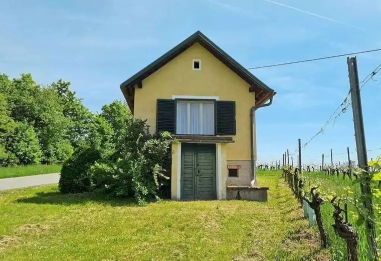 Kellerstöckel mit Weingarten am Eisenberg (Provisionsfrei)
