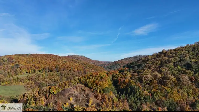 Ihr Bauplatz im Grünen
