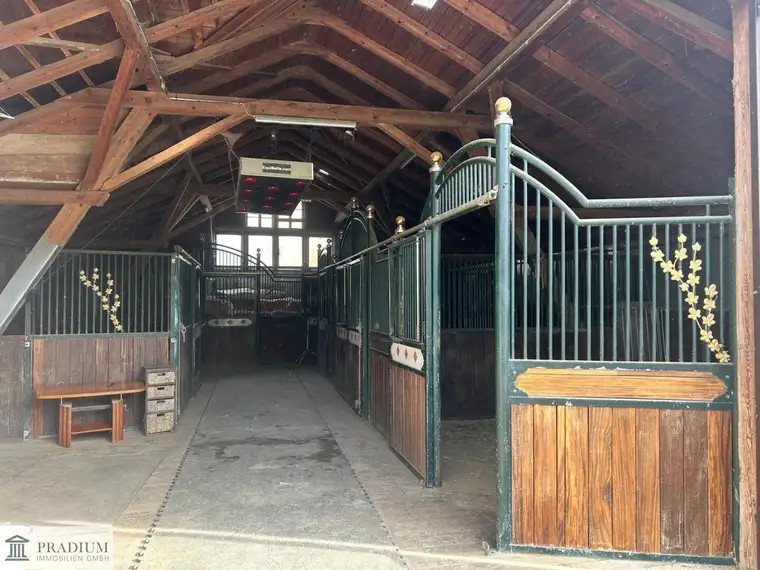 Exklusiver Pferdehof mit 2 Wohneinheiten, Reithalle &amp; großem Grund in Hochneukirchen
