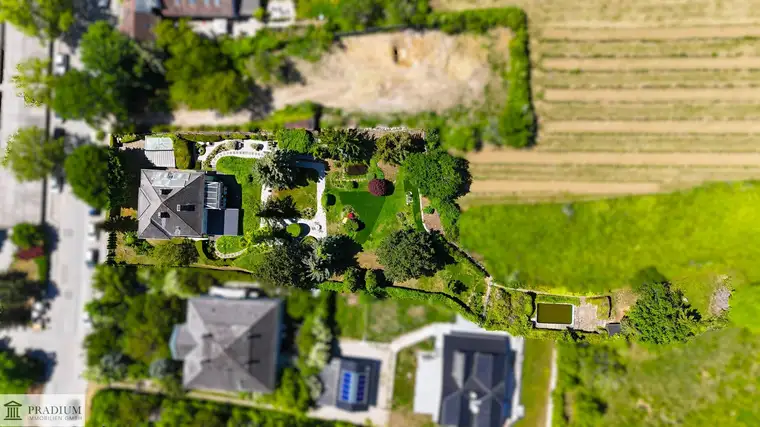 Zwischen den Weinbergen - 2.300m² Grundstück mit Villa