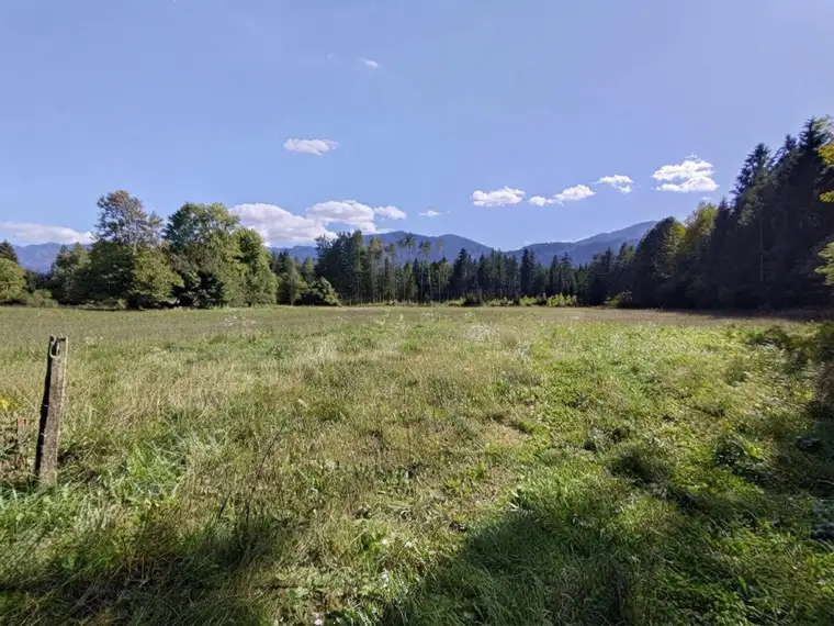 Grünland in der Nähe von Villach/Oberschütt