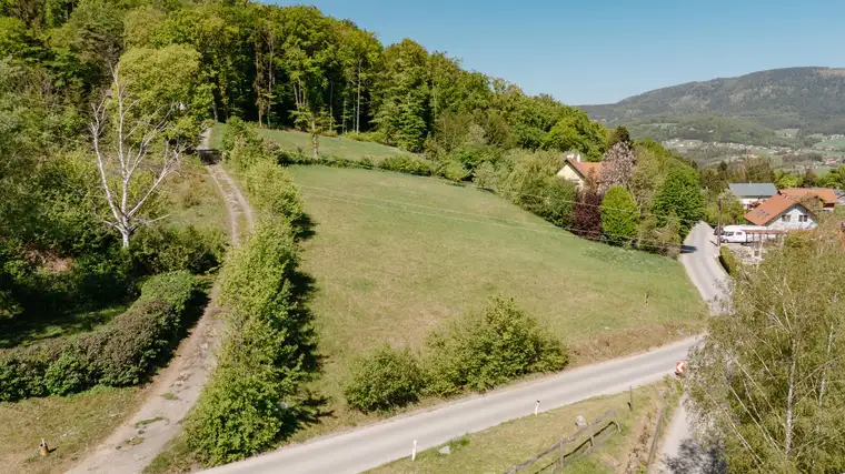 Ing. Roman Streicher, DAHLER Graz Streicher Immobilien e.U.