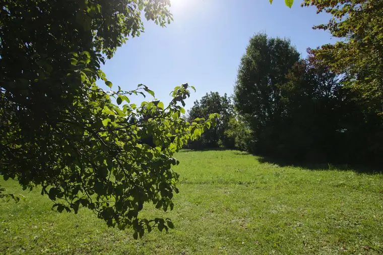 Ing. Roman Streicher, DAHLER Graz Streicher Immobilien e.U.