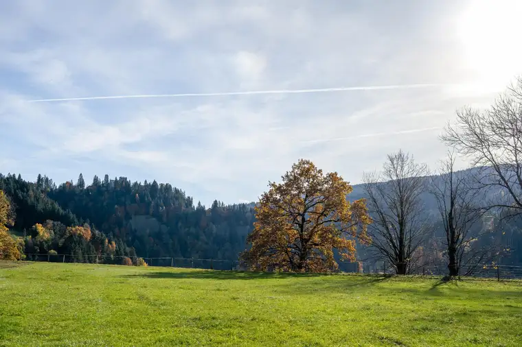 PMI REAL ESTATE GMBH