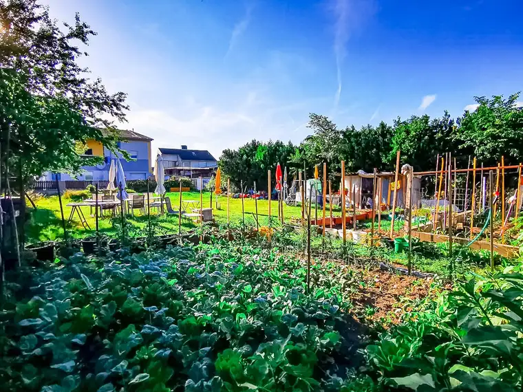 Sonniges Grundstück in Ruhelage!