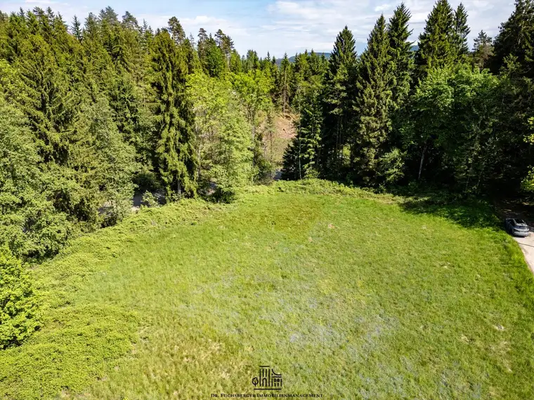 Traumhafter Grund in idyllischer Lage - ideal zur Errichtung eines Eigenheims - rd. 6000 m² Grund mit Punktwidmung in Maria Saal, Kärnten