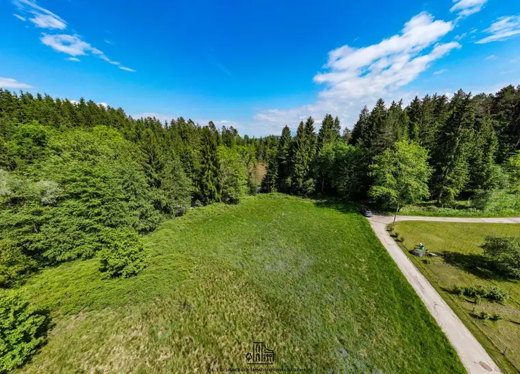 Traumhafter Grund in idyllischer Lage - ideal zur Errichtung eines Eigenheims - rd. 6000 m² Grund mit Punktwidmung in Maria Saal, Kärnten
