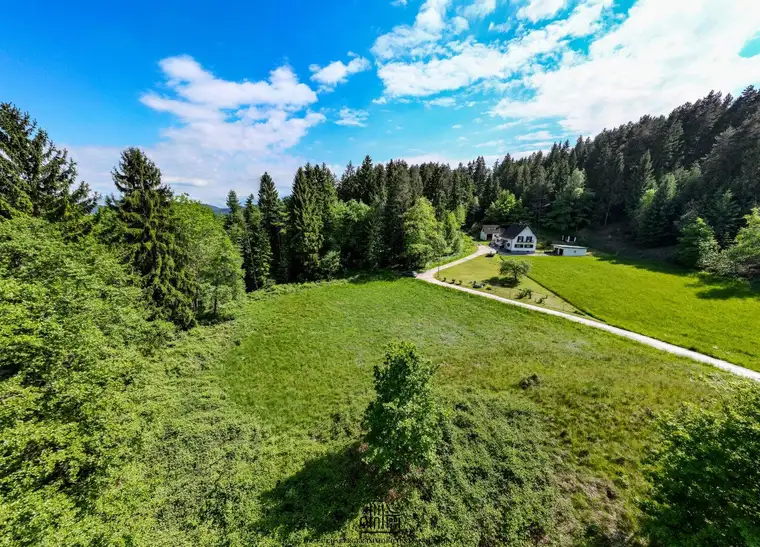 Traumhafter Grund in idyllischer Lage - ideal zur Errichtung eines Eigenheims - rd. 6000 m² Grund mit Punktwidmung in Maria Saal, Kärnten