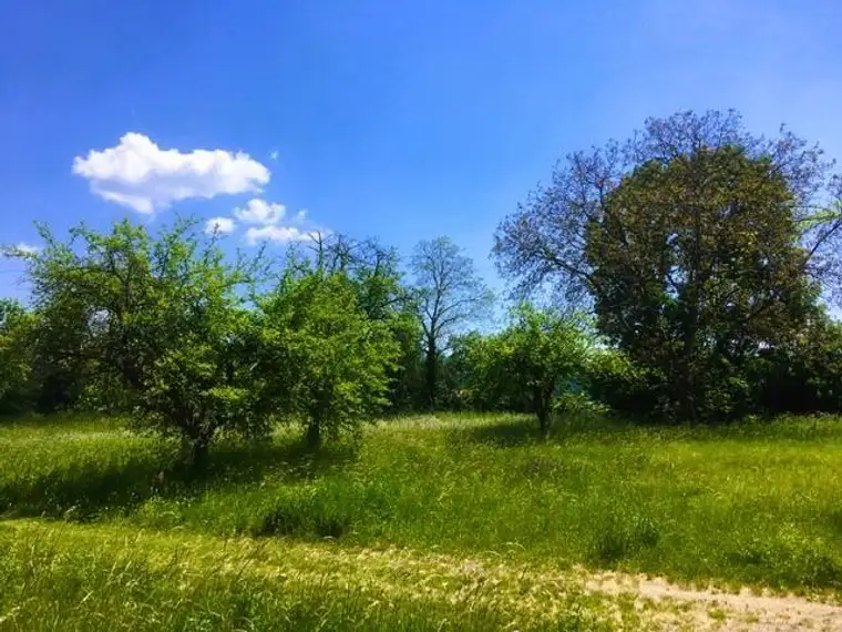 Ruhig gelegenes Baugrundstück inmitten der Natur (Fahnengrundstück)