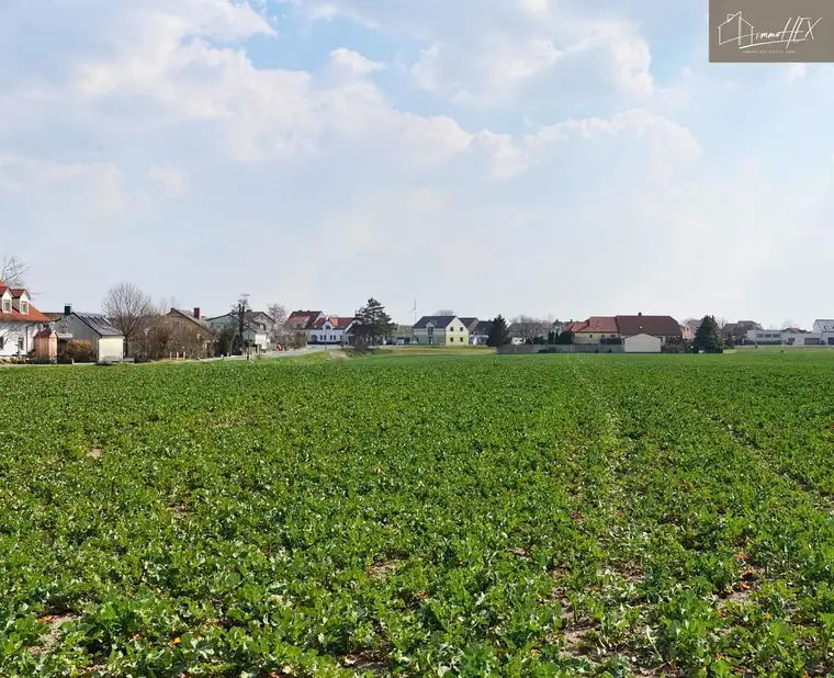 Mehrere Baugrundstücke in Franzensdorf bei Groß-Enzersdorf – ab ca. 741 m² in ruhiger Lage