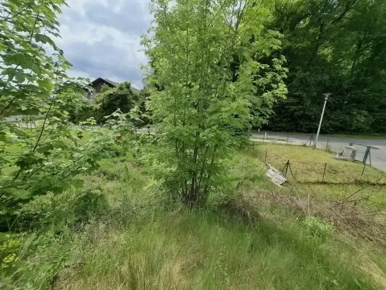 Baugrundstück Ruhelage Speckgürtel