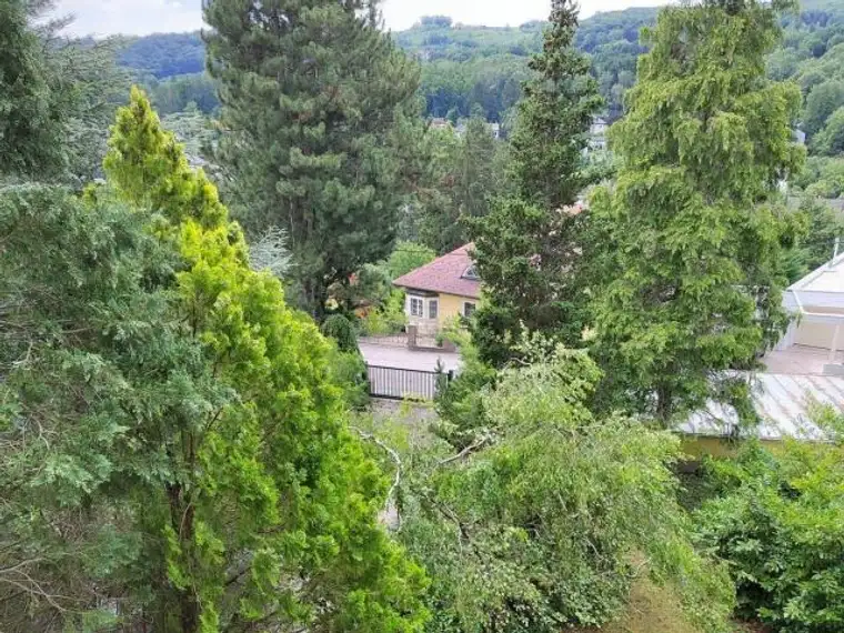 Charmante Villa mit großem Garten und Pool
