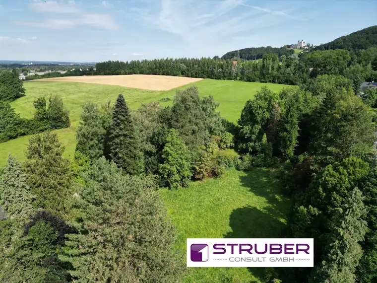Grüne Oase in der Stadt Salzburg - Wohntraum nahe Maria Plain