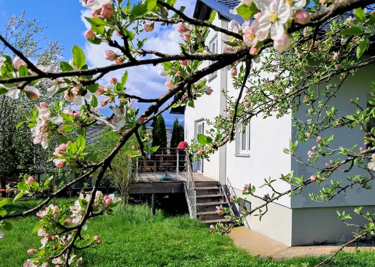 Einfamilienhaus mit Terrasse und idyllischem Garten in Apfelberg/Knittelfeld 