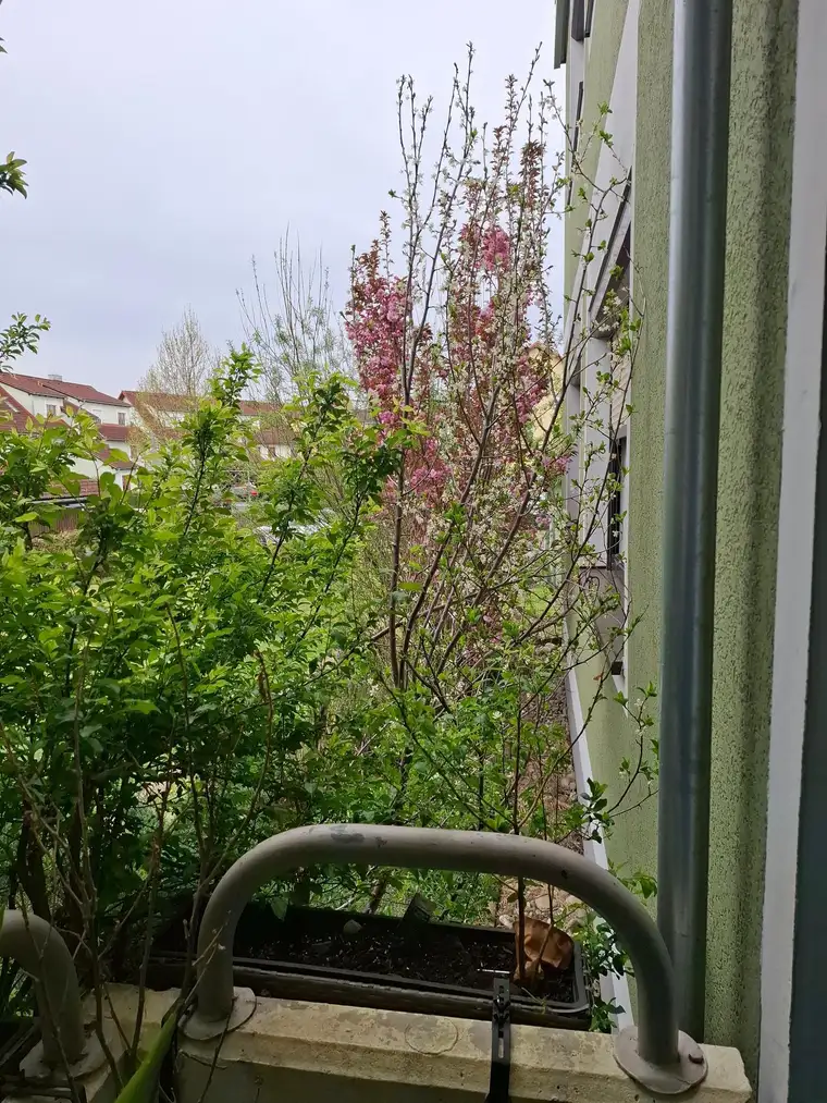 Wohnung zu verkaufen 