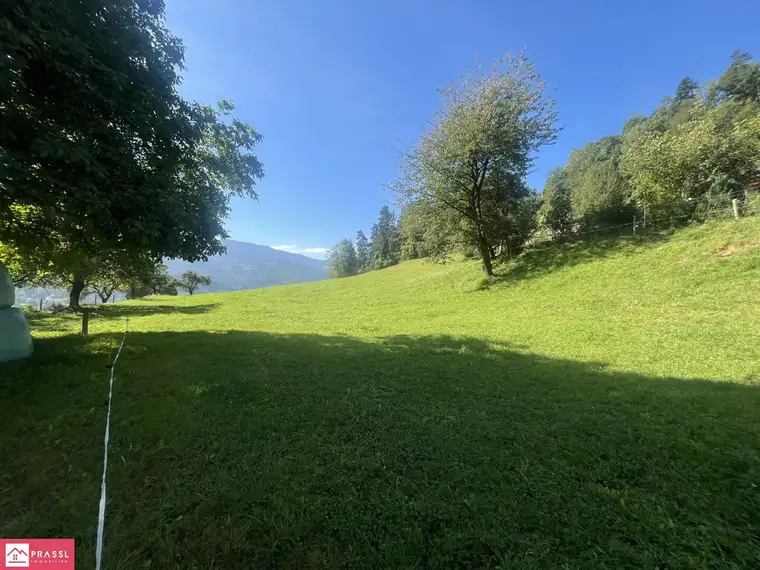 Einmalige Gelegenheit: Traumgrundstück am Südhang mit Panoramablick – 2,4 ha Bau- &amp; Bauerwartungsland in Proleb/Leoben