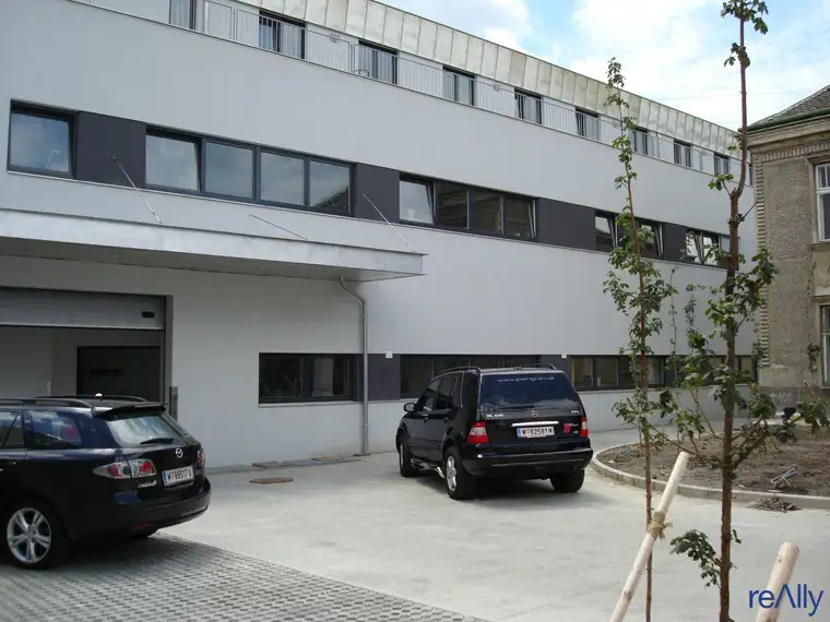 Modernisiertes Büro inkl. Individuelle Raumaufteilung je nach Kundenwunsch