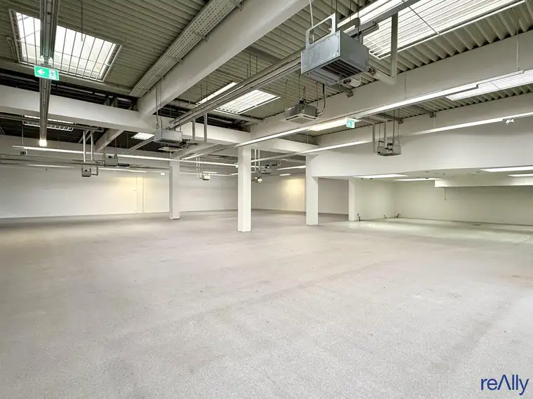 Moderne - Multifunktionale Gewerbefläche direkt bei FMZ Auhof