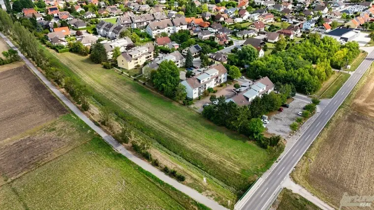 Grundstück für Bauträger in Königstetten